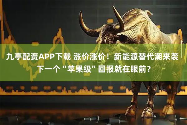 九亭配资APP下载 涨价涨价！新能源替代潮来袭 下一个“苹果级”回报就在眼前？