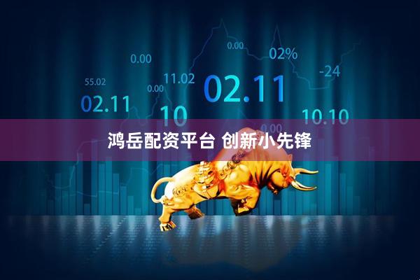 鸿岳配资平台 创新小先锋